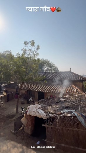 Lav Yadav on Instagram: "किस किसको यह गाना पसंद है ❤️ प्यार गाँव और सुकून वाला गाना ♥️♥️ @lav_official_jalalpur #village #oldsongs #song #sukoon #naturelovers #nature #explorepage #explore"