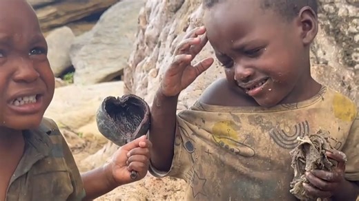 当我们的孩子还在为挑食烦恼，他们的孩子已在荒野中学会抢夺与忍耐。