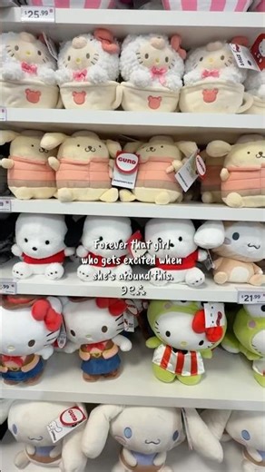 New Sanrio Plushies at Miniso #sanrio #hellokitty #myminisousa #minisoambassador #miniso