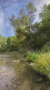 313K views · 70K reactions | 60 Seconds of Serenity (#894): Each day...