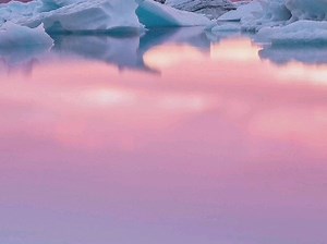 下载方法放这里了