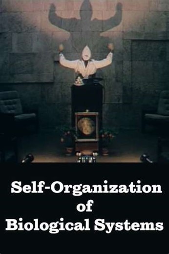 Self-Organization of Biological Systems - Movie