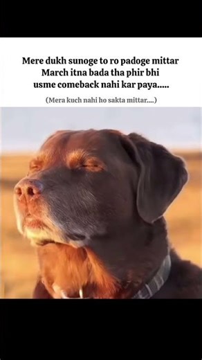 Tumhara hua ki nahi🧐#memes #relatable #trending #funny #cute #shortsvideo #shorts #viral #fyp