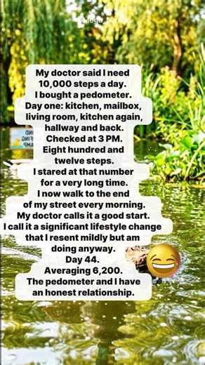 812 Steps #humor #funny