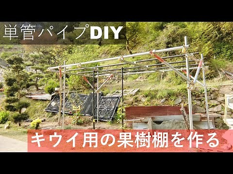 「素人がDIY」単管パイプでキウイ用の果樹棚を作ってみる。