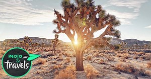 Top 10 U.S. National Parks | Videos on WatchMojo.com