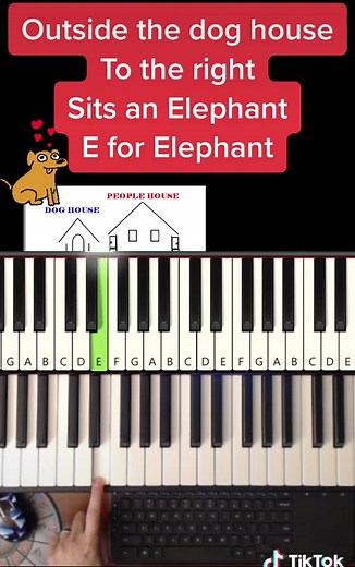 Marcy Davis on TikTok