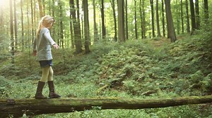 Partez en forêt, découvrez les différents métiers du bois : du 15 au 17 octobre c’est le 'Week-End du Bois' - RTBF Actus