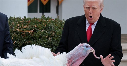 Trump spares turkeys — but not his political opponents — at annual pardoning ceremony