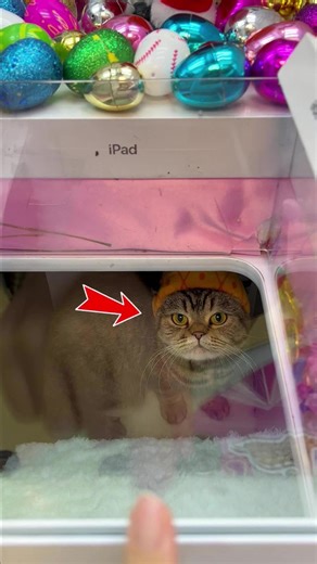 Mystery Treasure Claw Machine - Day 31 #clawmachine #arcade #prize