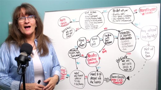 327 reactions · 3 comments |  If you've ever wanted to join one of our programs - now is your chance!  It's my birthday, and we're celebrating together by opening ALL of our programs for enrollment & offering some ‘never available at any other time’ special bundles! You can find all the information about our Celebrate Together Sale here  https://dogsthat.com/start-training | Susan Garrett's DogsThat | Facebook