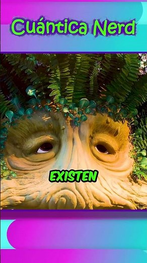 Un Árbol con Varios Tipos de Fruta Como Dzo
