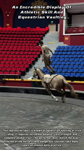 An Incredible Display Of Athletic Skill And Equestrian Vaulting