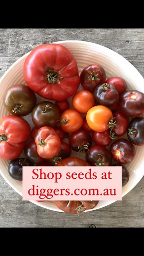 10K views · 13 reactions | The Diggers Club on Reels | Facebook