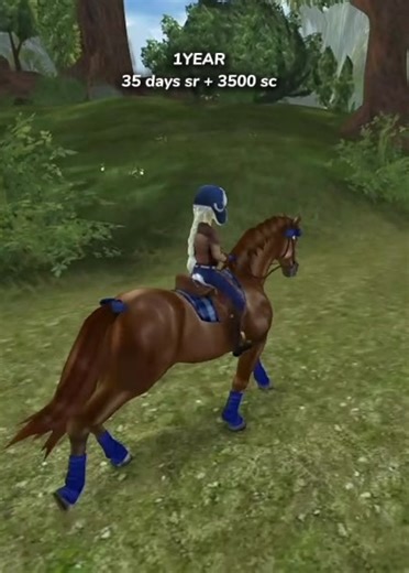 Understanding BSSO: One Year of Better SSO Practices