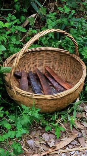 4.6K views · 67 reactions | Chapter 1: Herb Collection - The First Step in Our Traditional Craft Series | How Things are Made | Facebook