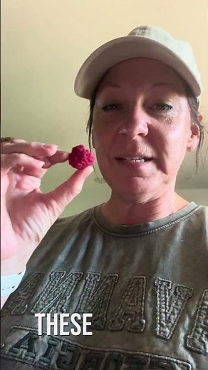 Have you ever wondered what happens when you freeze dry raspberries? #freezedriedfruit ￼