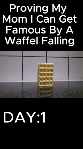 Waffle falling over | Day 1 #Wafflefalling#foryou