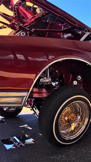 Lot of detail in this 2 door box chevy #eyecandywhipz #carshow #atlanta #boxchevy #lowrider | Eye Candy Whipz Photography
