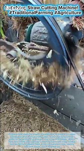 Satisfying Straw Cutting Machine! 🌾 #TraditionalFarming #Agriculture
