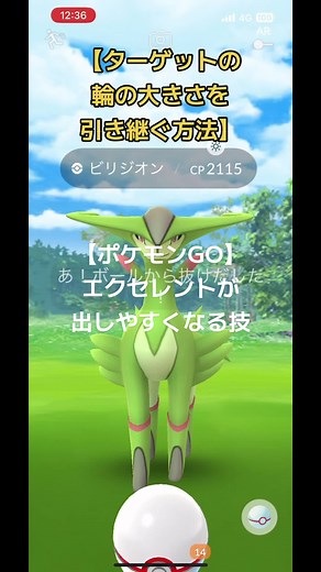 TikTokで齋藤Rokiさんをチェック！