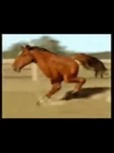 Ret@rded Running Horse Memes: A 2005 Internet Classic