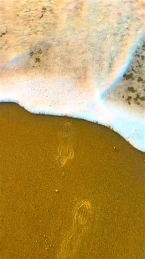 Romano EDP Perfume Review: Scents You'll Love