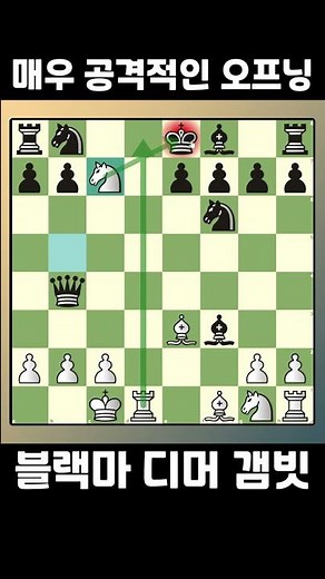 The "Black Mare Dimmer Gambit," known for its very aggressive opening.