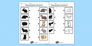 Nocturnal Animals Shadow Matching Worksheet