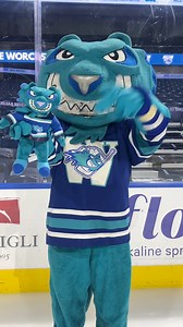 Scratch Plushies are here! 🐱 Scratch will be at the Rail Shop tomorrow from 11am - 12pm during our Stuff the Truck event, where you can get your Scratch Plushies in person before they go on sale online later! #RailersHC | Worcester Railers HC