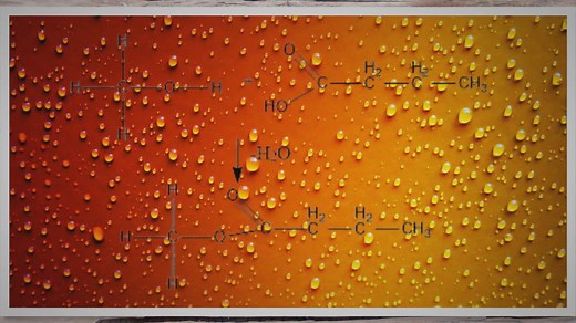 Condensation Reaction, Mechanism, and Catalyst
