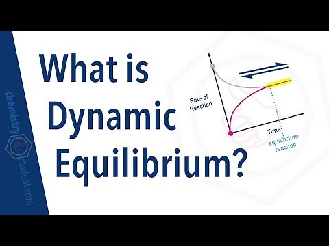 What is Dynamic Equilibrium?