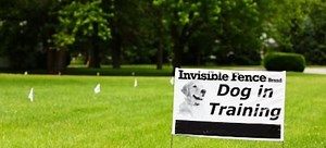 Create Your Own Invisible Fence | DoItYourself.com