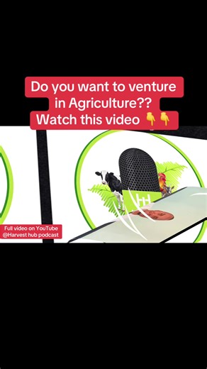 https://youtube.com/@harvesthubpodcast?si=1xsGXxygiS0r_mAP #agriculture #business #family