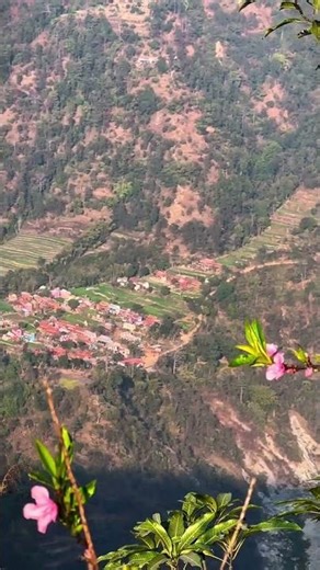 The video features a branch of bright pink blossoms (likely peach or cherry blossoms)