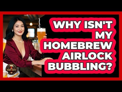 Why Isn't My Homebrew Airlock Bubbling? - The Pint Guy