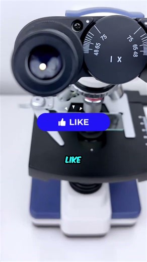 Human cells under microscope 🔬 🤢