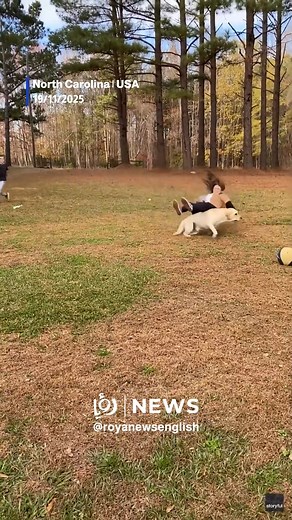 7K views · 56 reactions | Playful dog sends girl tumbling during family baseball game | Roya News English | Facebook