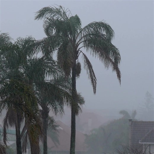 You’ve seen the storms. Now picture the calm inside. Generac delivers a seamless transition from outage to comfort. Revisit your home’s backup power plan today. | Generac