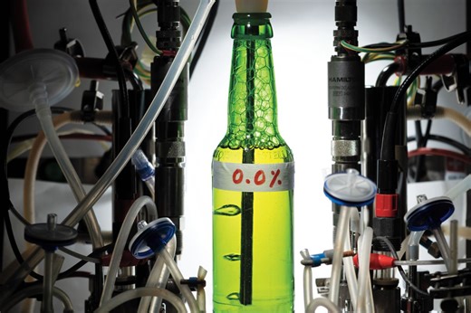 もっとおいしい、酔わないビールを開発する　ベルギーの挑戦