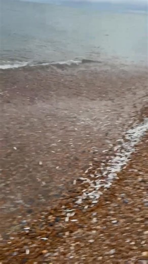 Engjell Sherri on Reels