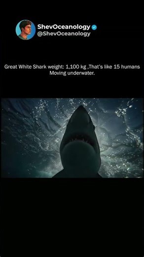 The Most FEARED Hunter of the Sea