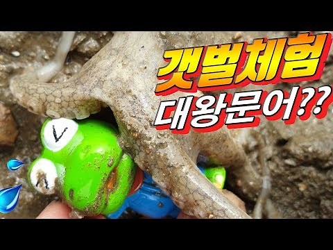 뽀로로버스타고 갯벌체험가자 크롱을 덮친 대왕문어의정체는? |꿈토이|제16화
