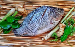Is it safe to eat tilapia from China? [2025] | QAQooking.wiki