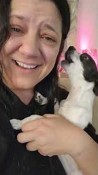 We Sing. Because We Need to Find our Happy. #dogshorts