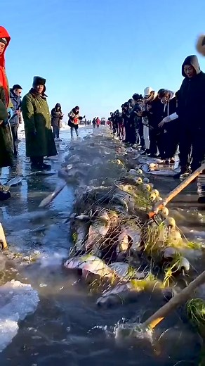 Fishing in Iceland #fishing #icefishing #iceland #oddlysatisfying | Spruce Run Fishing