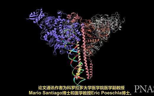 PNAS：新冠病毒变体对人类干扰素产生了抵抗性