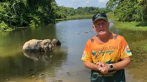 Our Laos Elephant Tour has it all. You can choose our group fundraising tour or a private tour for you and your loved ones. Whichever you pick, you will have the experience of a lifetime. https://www.orangutanodysseys.com/expeditions | Orangutan Odysseys