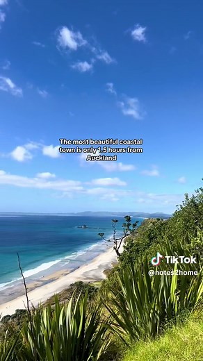 Explore the Dreamy Coastal Town of Mangawhai Heads | New Zealand Travel