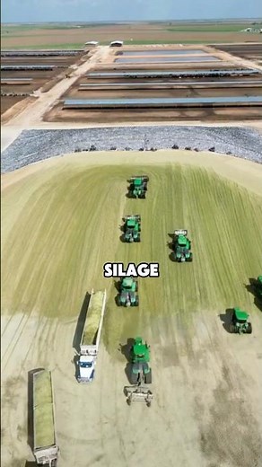 How to harvest and store silage in the United States #knowledge #green #feed